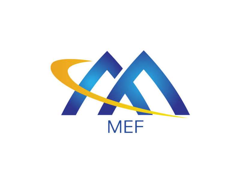 MEF Network Foundations (MEF-NF)