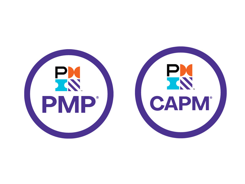 Project Management Courses (CAPM & PMP)